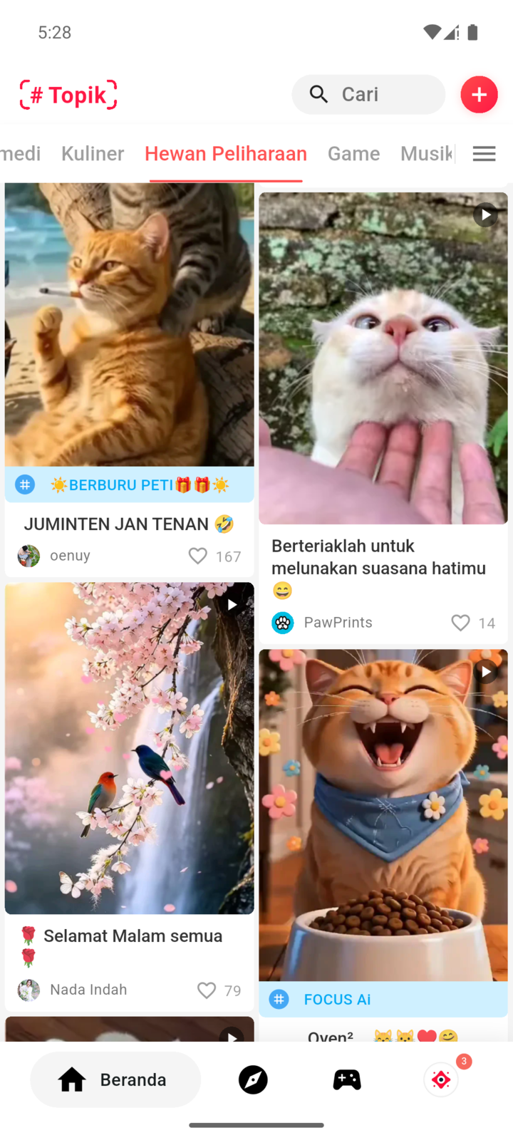 Pet interest feed in FOCUS