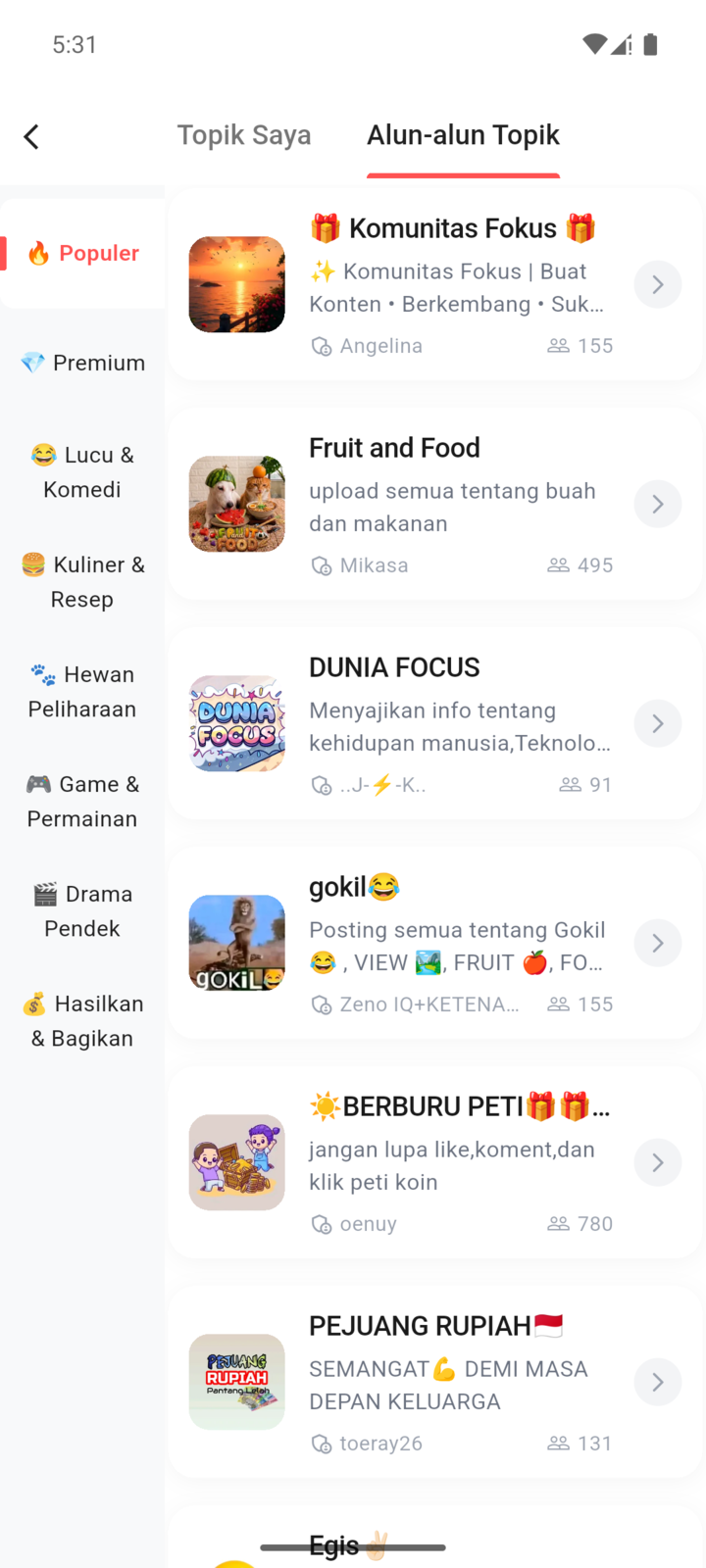 Topics in FOCUS